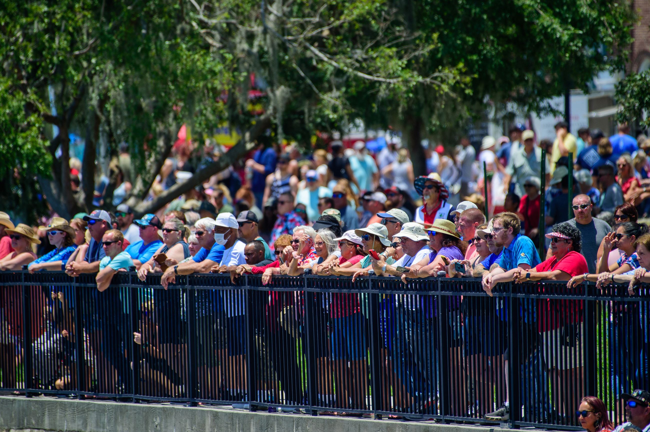 Palatka_05282023_bluecrab-33