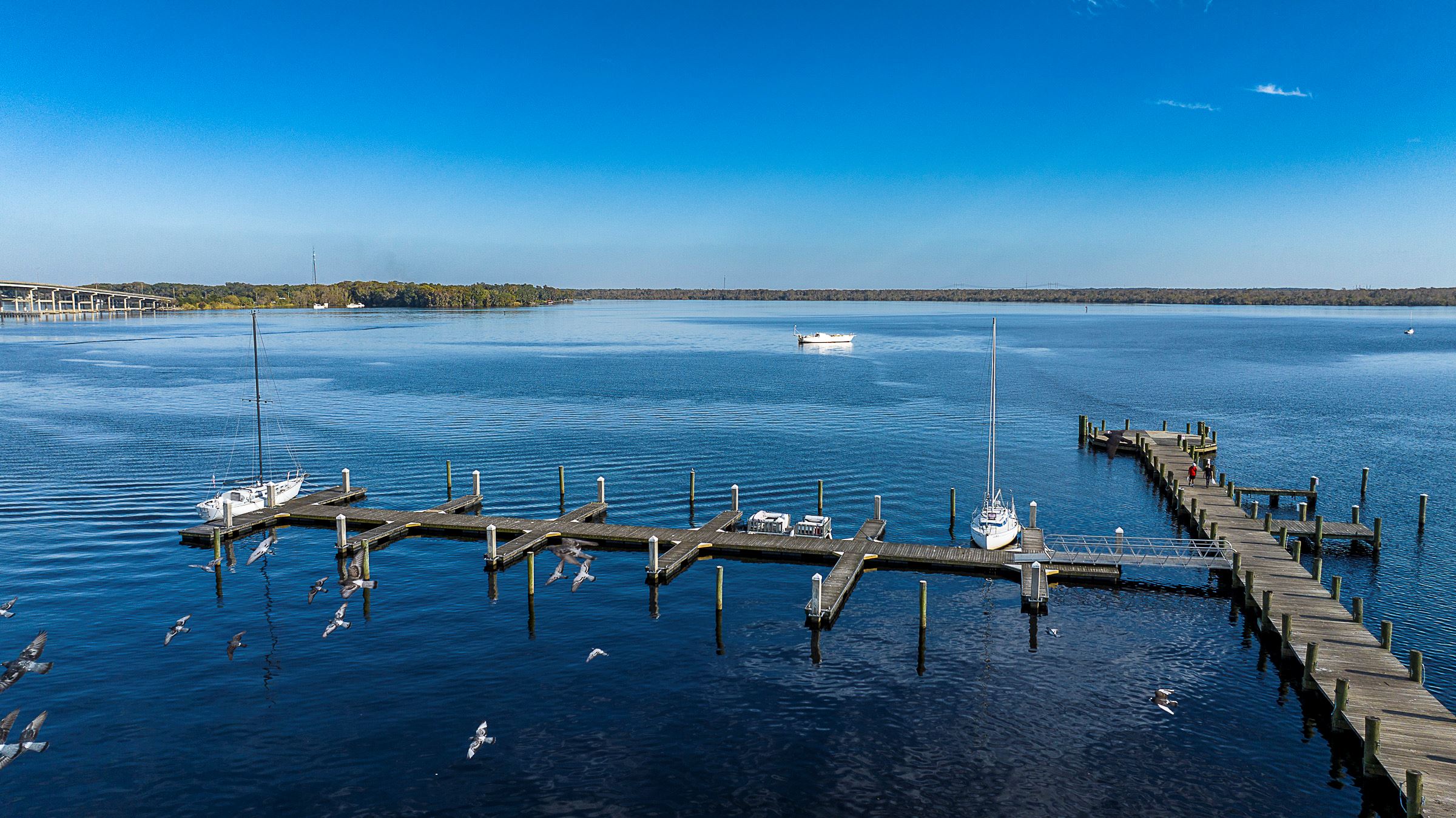 Pal_11292023_city dock-1